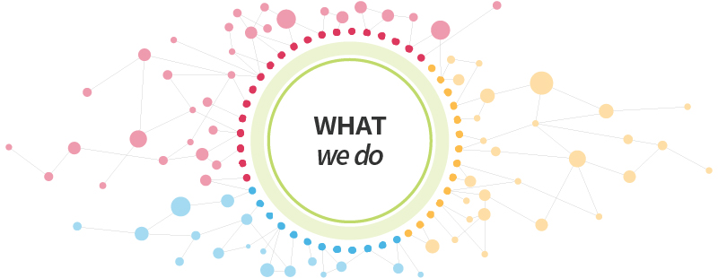 What We Do header graphic