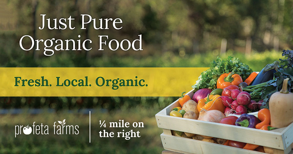 Just Pure Organic Food