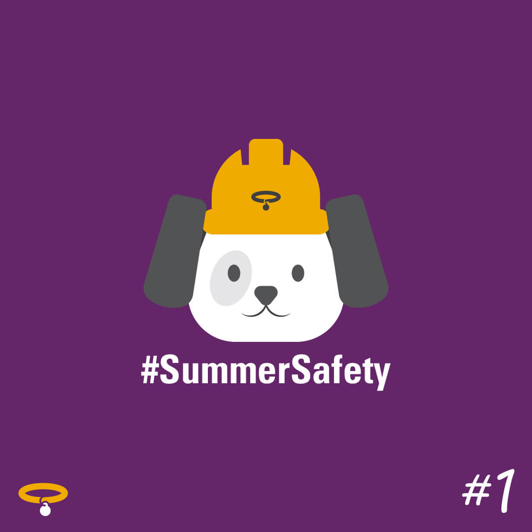 Summer Safety Tips