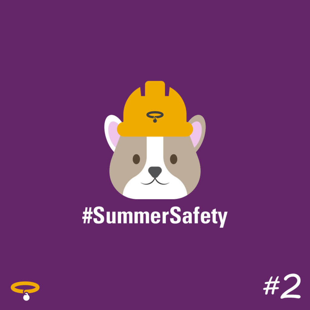 Summer Safety Tips