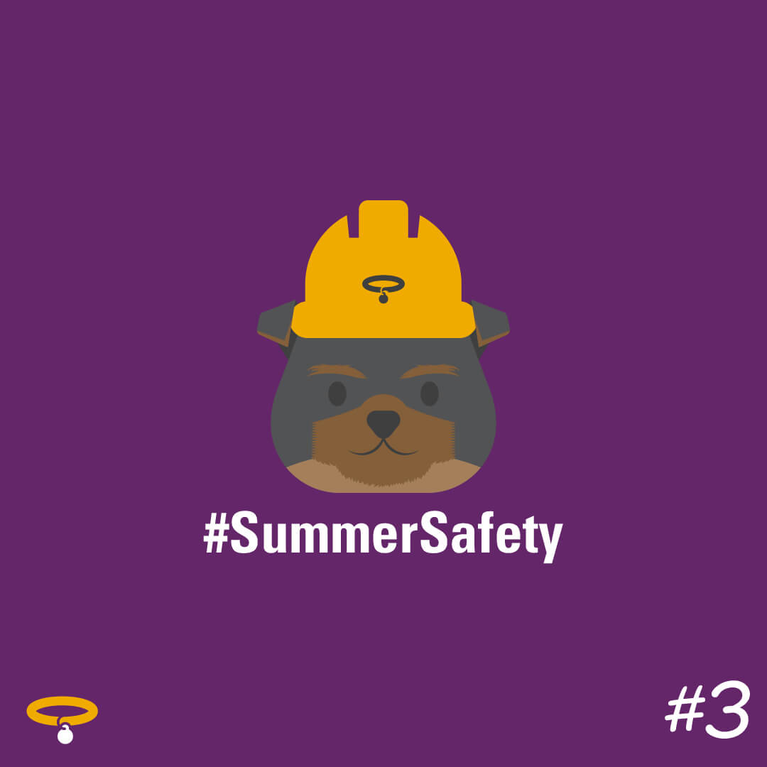 Summer Safety Tips