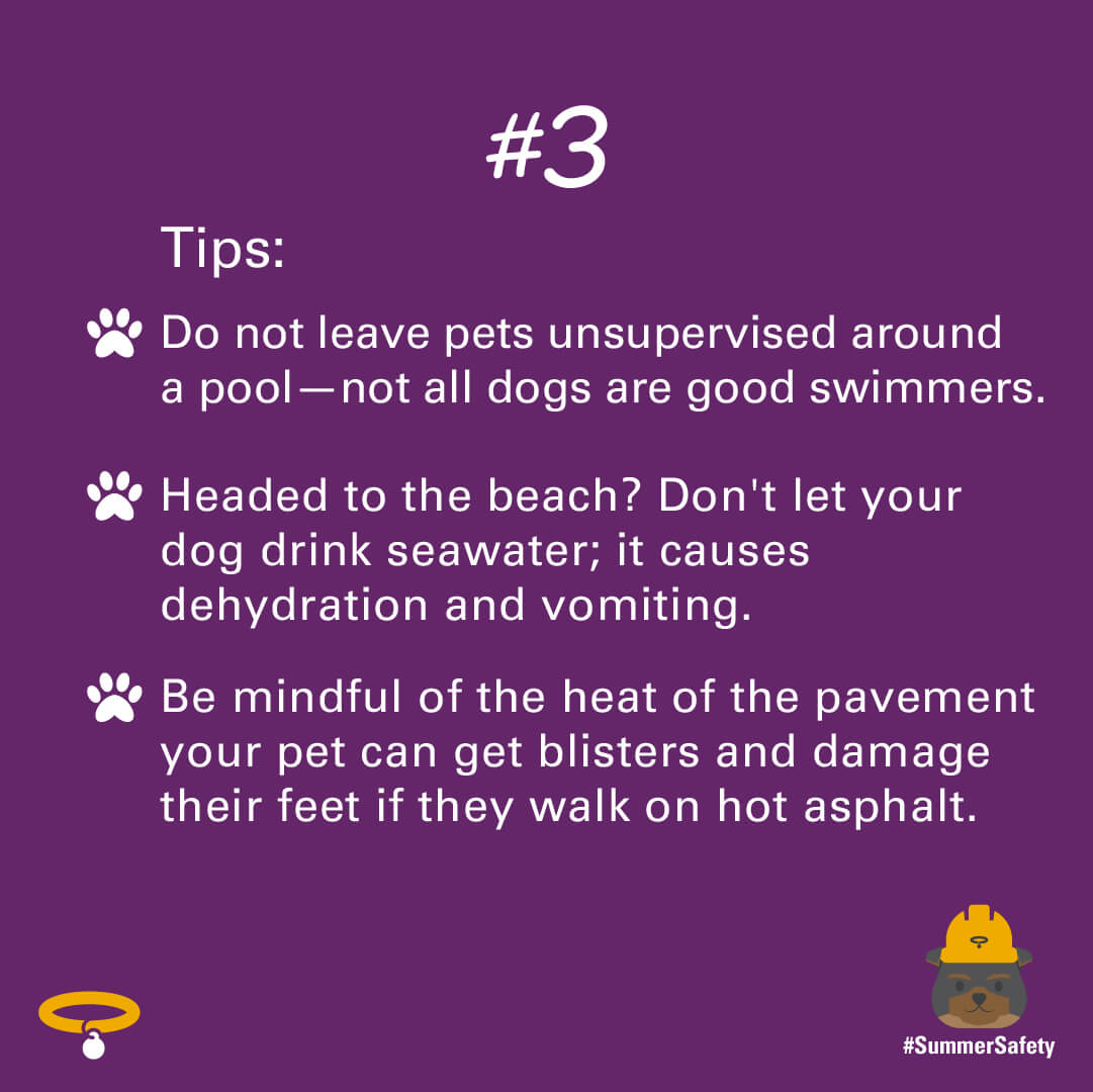 Summer Safety Tips